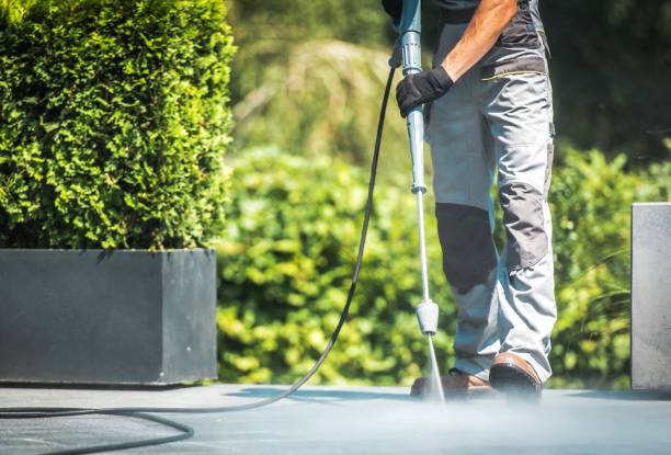 Best Concrete Surface Cleaning in Lillian, AL