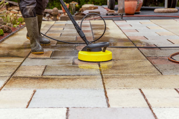 Best Driveway Cleaning and Restoration in Lillian, AL